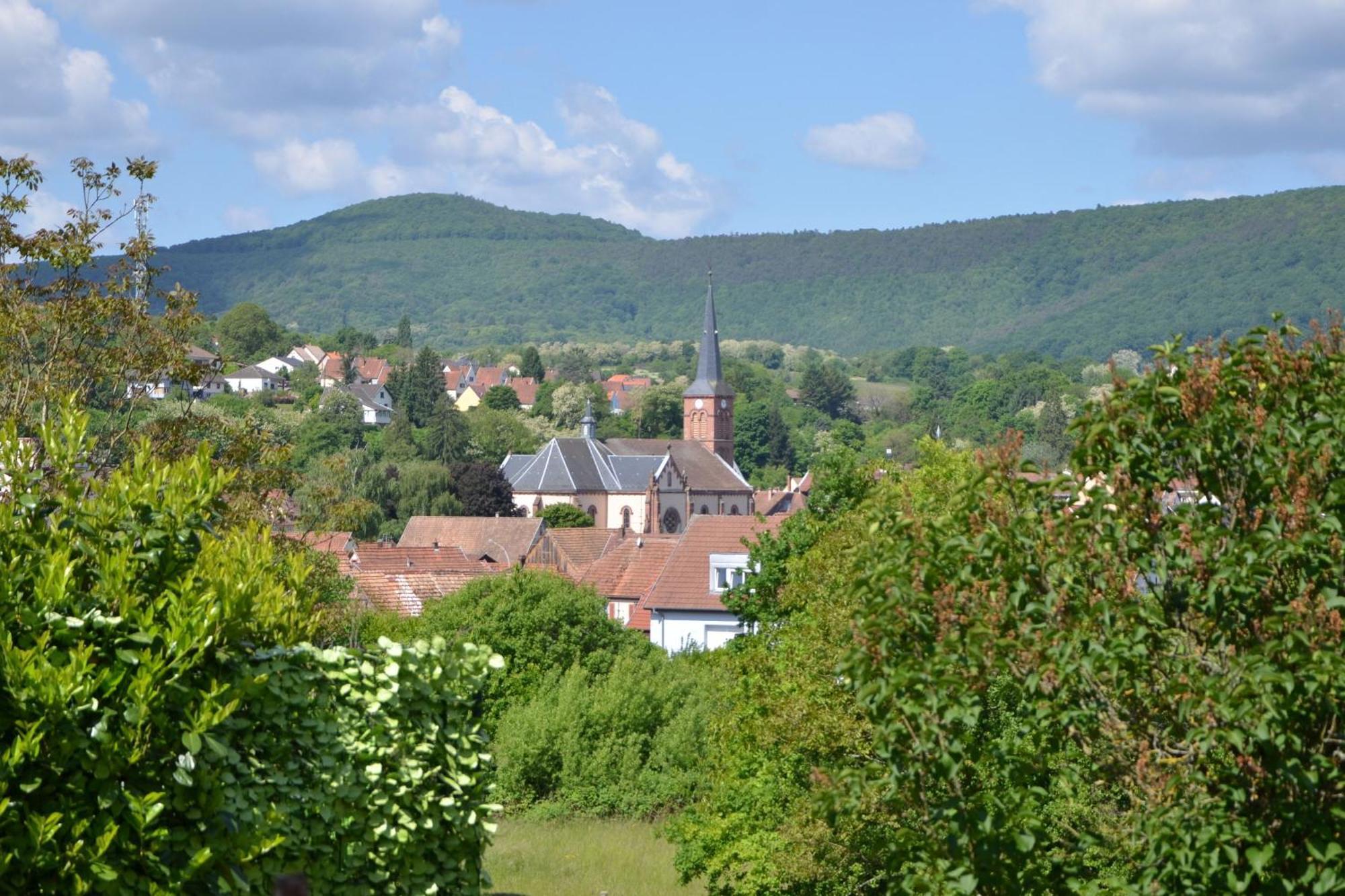 Horizons Du Appartement Niederbronn-les-Bains